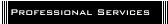 Professional Services